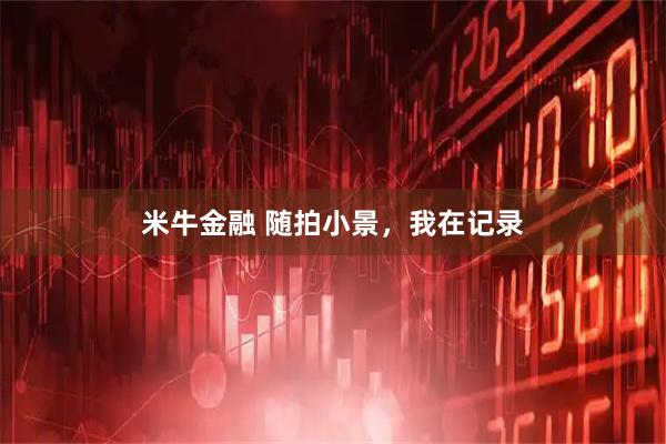 米牛金融 随拍小景，我在记录