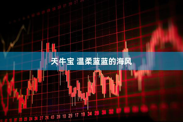 天牛宝 温柔蓝蓝的海风