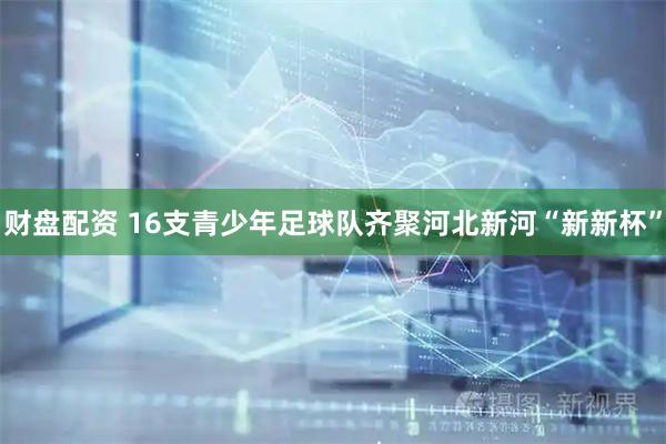 财盘配资 16支青少年足球队齐聚河北新河“新新杯”